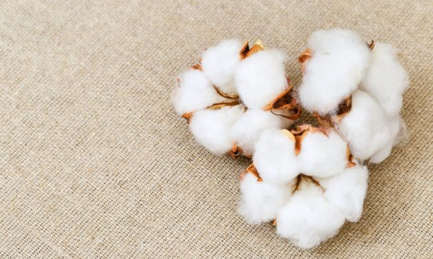 Len és pamut – melyik miben erős?