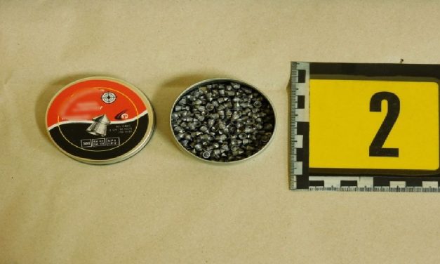 Légpuskával lőtt rá szomszédja kutyájára egy férfi Debrecenben