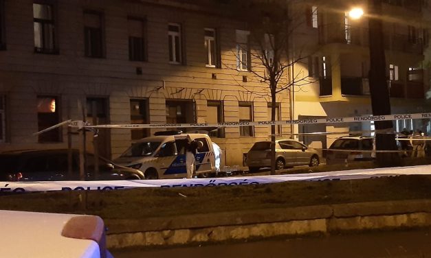 „Nem bírtak sima kézzel a bátyámmal” – megszólalt a Telepy utcai gyilkosság áldozatának öccse