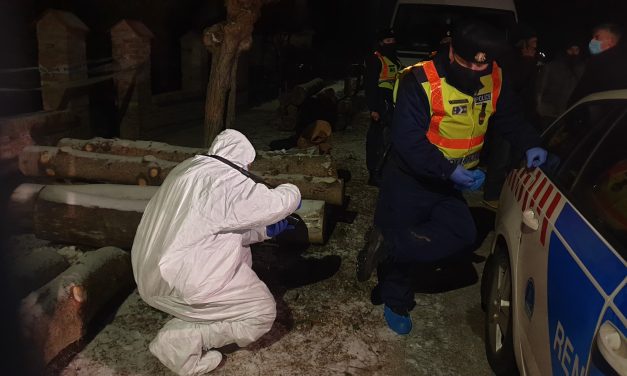 Gyermekkorból eredő tragédia, elvágta a torkát, 12 év fegyház az apagyilkosnak