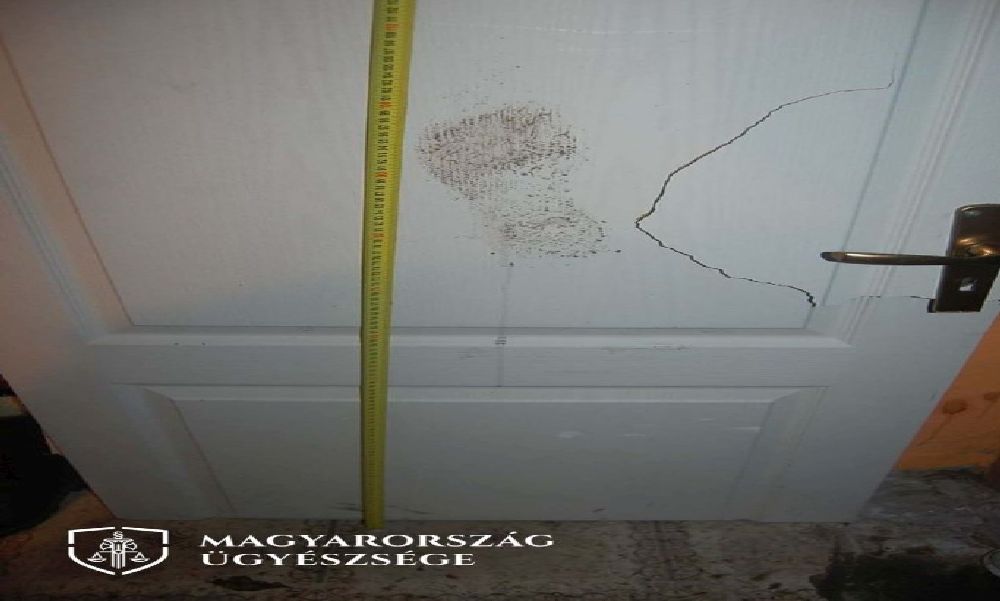 19 évesen 19 bűncselekmény: mutatjuk, mi mindent hozott össze egy büntetett előéletű férfi