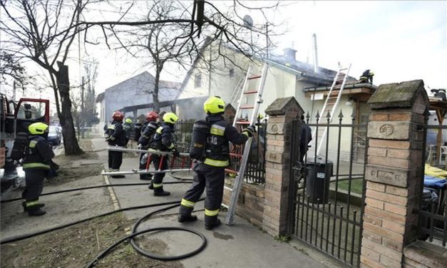 Földmunkával foglalkozó cég tetőszerkezete gyulladt ki a budapesti tűzesetben – fotók