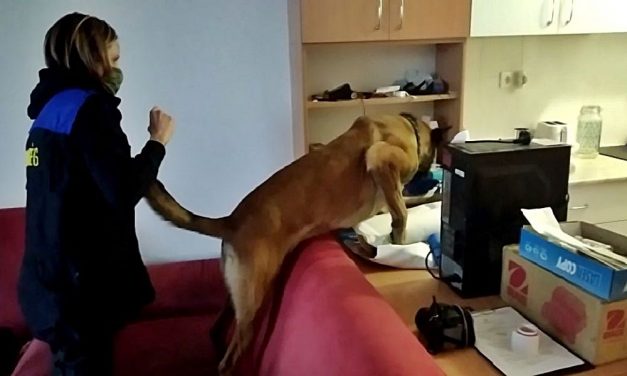 Darkneten, kriptovalutával rendelt kábítószert, a rendőrök elfogták a fiatal férfit – videó