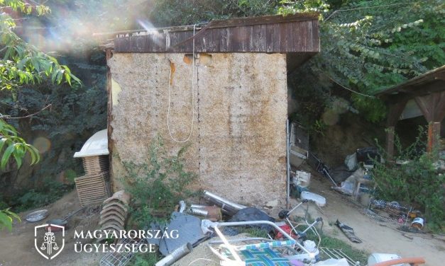 „Azt a bódét csak pihenőszobának hívjuk” – visszakapta kicsalt lakását a siófoki idős asszony, akit a szélhámos házaspár egy disznóólban tartott fogva