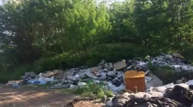 Kóbor kutyák miatt hívták az állatvédőket a Pest megyében – A helyszínre érve sokkot kaptak, egy illegális dögtelepre bukkantak – videó