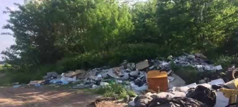 Kóbor kutyák miatt hívták az állatvédőket a Pest megyében – A helyszínre érve sokkot kaptak, egy illegális dögtelepre bukkantak – videó