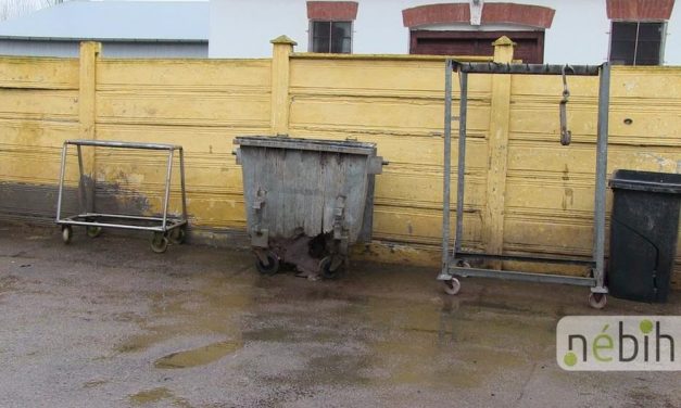 „Szarvasmarhafejek, nyers juhbőrök, száradt húscafatok”: undorító állapotok miatt csapott le a Nébih egy újabb vágóhídra – fotók