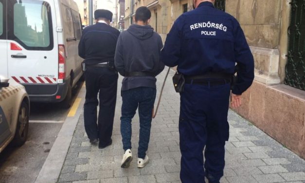 Sorozattolvajt fogtak a rendőrök: az elkövető minden mozdíthatót magával vitt