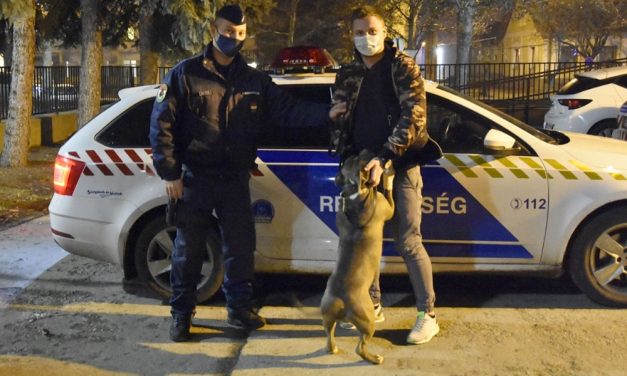 Harci kutyának adták volna tovább a Gödről ellopott 300 ezer forintos kutyust