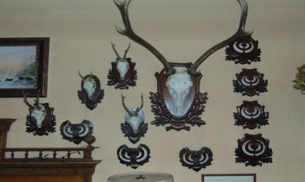 Orvvadászokat fogtak a rendőrök: fegyverkollekciók és trófeák is előkerültek a házkutatások során – Videó