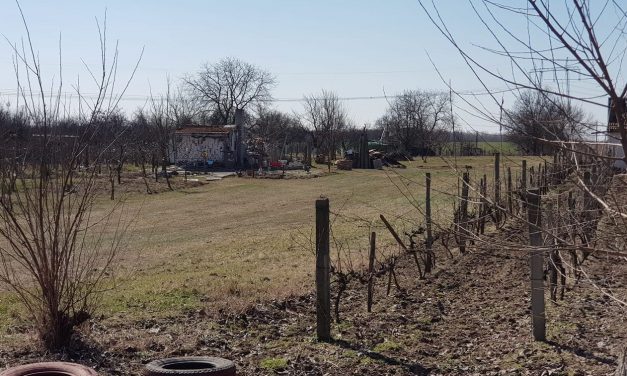 20 méter mély kútba esett és meghalt egy idős férfi Budapesten