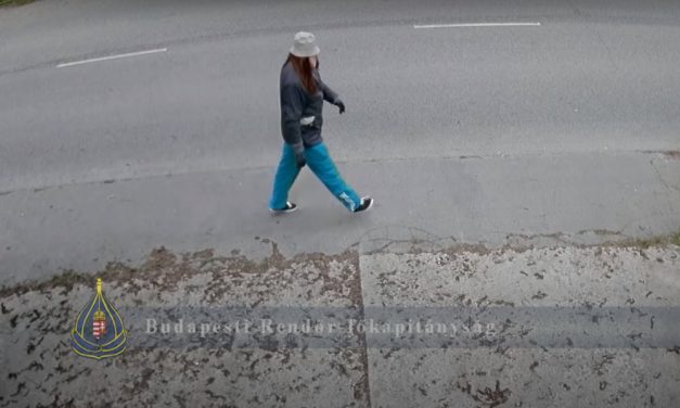 18 év börtönt kapott a visszatérő maszkos-parókás rabló – Videóval