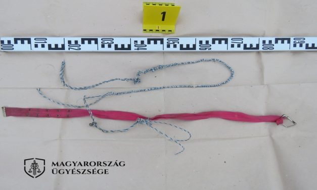 Napokig hagyta szenvedni a sérült, nyüszítő kutyáját: állatkínzás miatt felelhet a kegyetlen férfi