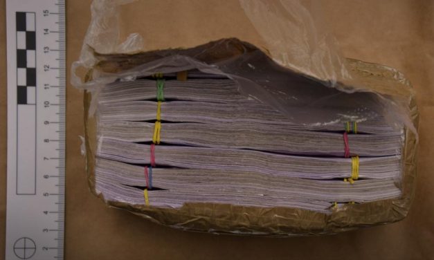 180 millió forintot ásott el kertjében egy kábítószer-kereskedő férfi: 6 év fegyházra ítélték