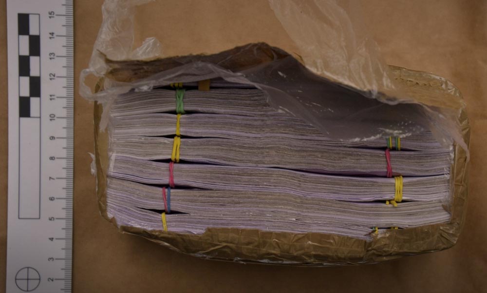 180 millió forintot ásott el kertjében egy kábítószer-kereskedő férfi: 6 év fegyházra ítélték