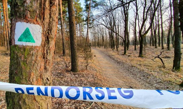 Rémálom Csillebércen: a gyermekvasúttól induló túraútvonalon erőszakoskodott egy nővel a 19 éves férfi