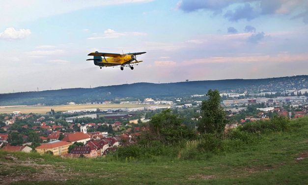 Ötezer hektáron folytatódik a biológiai szúnyoggyérítés – Ezeket a területeket veszik most célba