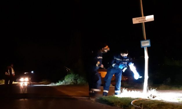 Sokkoló részletek a Fejér megyei halálos autóbalesetről – Majdnem a halálba vitte másik két barátját is a felelőtlen 16 éves sofőr