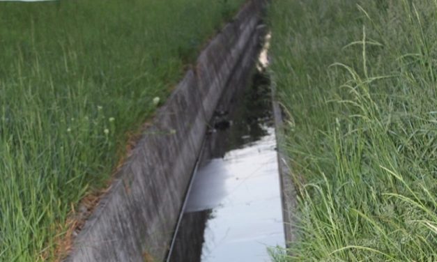 Egy 68 éves nő holttesttét találták meg egy vízelvezető árokban Esztergomban