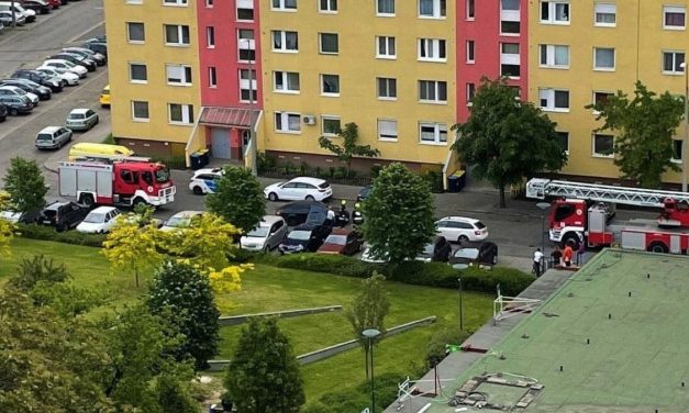 “Felrobbantom az anyámat” – kivonult a TEK az egyik budapesti lakótelepre, egy nő meg akarta ölni az anyját