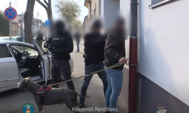 Két megyében, 11 helyszínen, 300 rendőr akciózott – Nemzetközi bűnszervezet számoltak fel a zsaruk Sopronban – videók