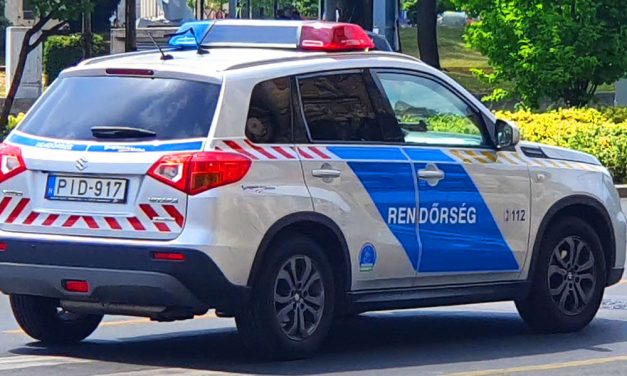 Elrabolta a házaspárt a reménytelenül szerelmes férfi, mert nem tetszett neki, hogy kibékültek: a férjet egy fához láncolta