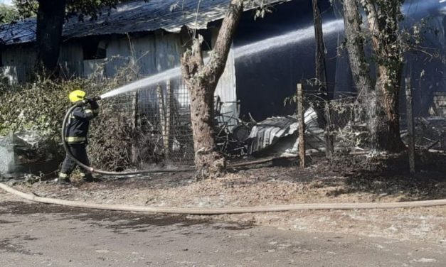 1200 négyzetméteren lángolt egy raktárépület Budapest 14. kerületében – Fotók a helyszínről