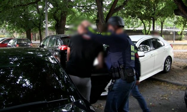 Döbbenetes: több mint 3500 vevőt vertek át, a kamu webáruházakat működtető csalók, több mint száz rendőr csapott le rájuk – videók