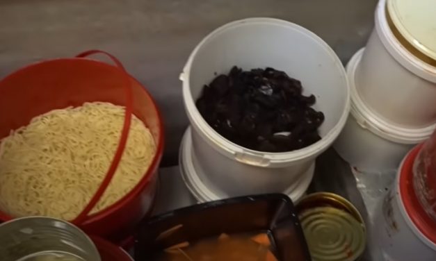 Gyomorforgató videó készült egy érdi kínai büfében – A Nébih azonnal be is záratta