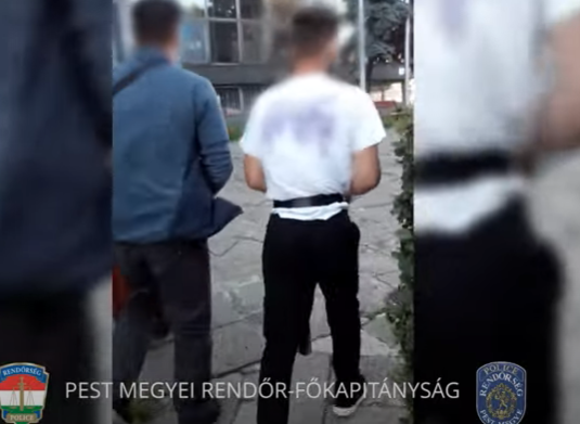 A lépcsőn lerángatva próbált kirabolni egy nőt a vasútállomáson, letartóztatták a tettest – videó