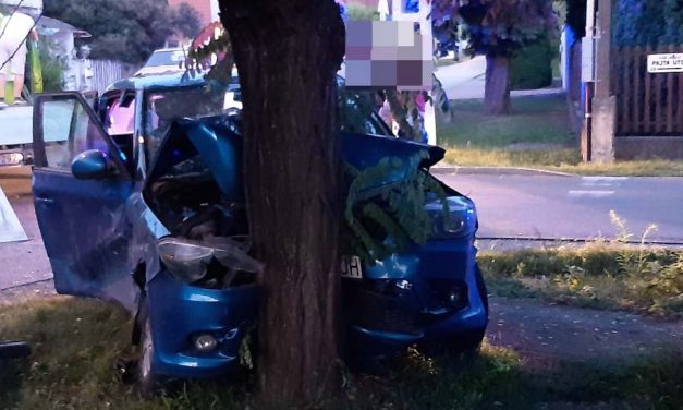 A karambol végén a fa állította meg a kék Skodát Rákoscsabán
