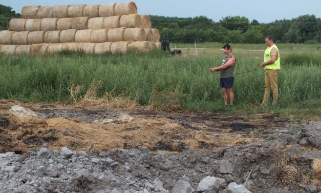 Nem voltam szájhős – lángolt Cegléd széle, bosszúból gyújtogatott az elkeseredett fiatalember