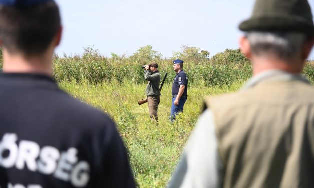 Döbbenetes, ragadozó madarakat mérgeztek meg Mórahalomnál