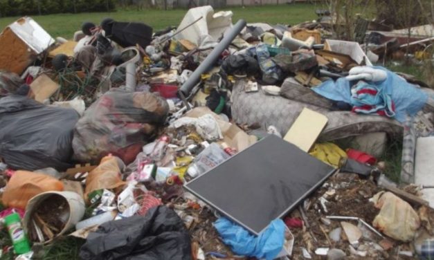 Már 8 éve halmozta a szemetet az udvarán egy albertirsai férfi, döbbenetes tettére magyarázat is volt – Fotók a helyszínről, ahol 1,5 méteren tornyosult a hulladék