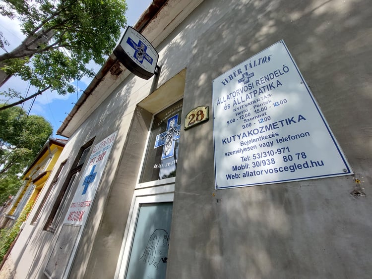 Tragédia: Véget vetett az életének a devizahitel miatt eladósodott ceglédi állatorvos