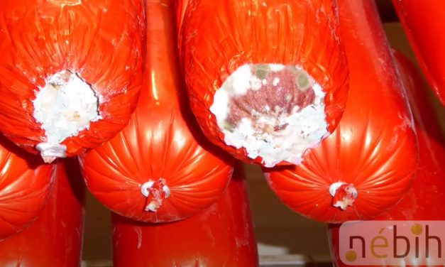 Gyalázat! Undorító, romlott és kukacos ételeket vitt óvodákba, iskolákba egy budapesti cég, mérgezni akarták a gyerekeket