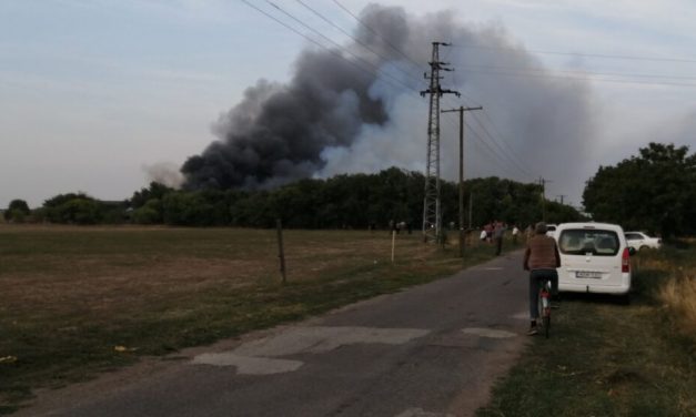 Felcsaptak a lángok Hódmezővásárhelyen: egy állattartó telep gyulladt ki, 240 sertés veszett oda – Fotó a helyszínről
