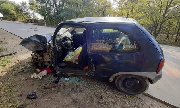 Drámai fotók a dunavarsányi halálos balesetről, a sofőr feltehetően rosszul lett – Sokkoló részletek a tragédiáról