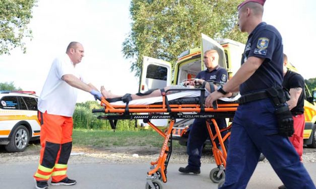 17 évet kapott a volt birkózó, aki előbb fojtogatta, majd leszúrta 18 éves húgát