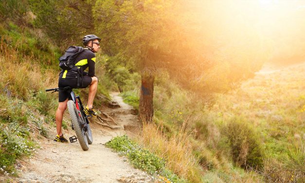 A bringázás új érája – a pedelec kerékpár