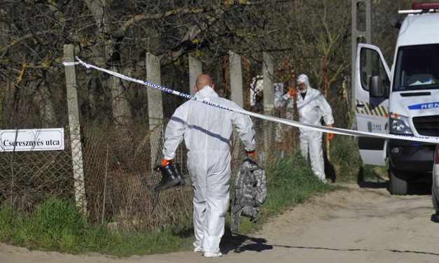 Eltűnése után 2 évvel találták meg a balatonföldvári nő holttestét: egykori barátja végzett vele