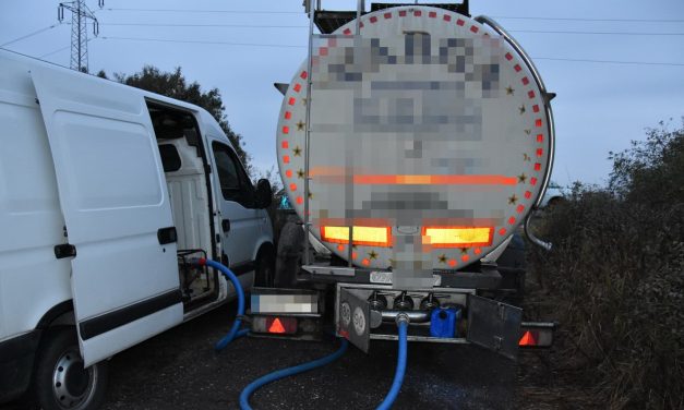 Bőgtek a tehenek, lopták a nyers tejet, 1000 liter víz került volna a tartályba