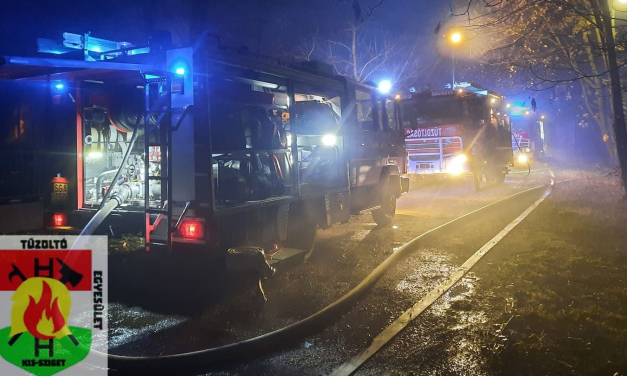 Gazdájával pusztult el az égő ráckevei faházban a kiskutya, egy férfi ki tudott menekülni a lángok közül FRISSÍTÉS! A kiskutya a másik gazdával kijutott a házból
