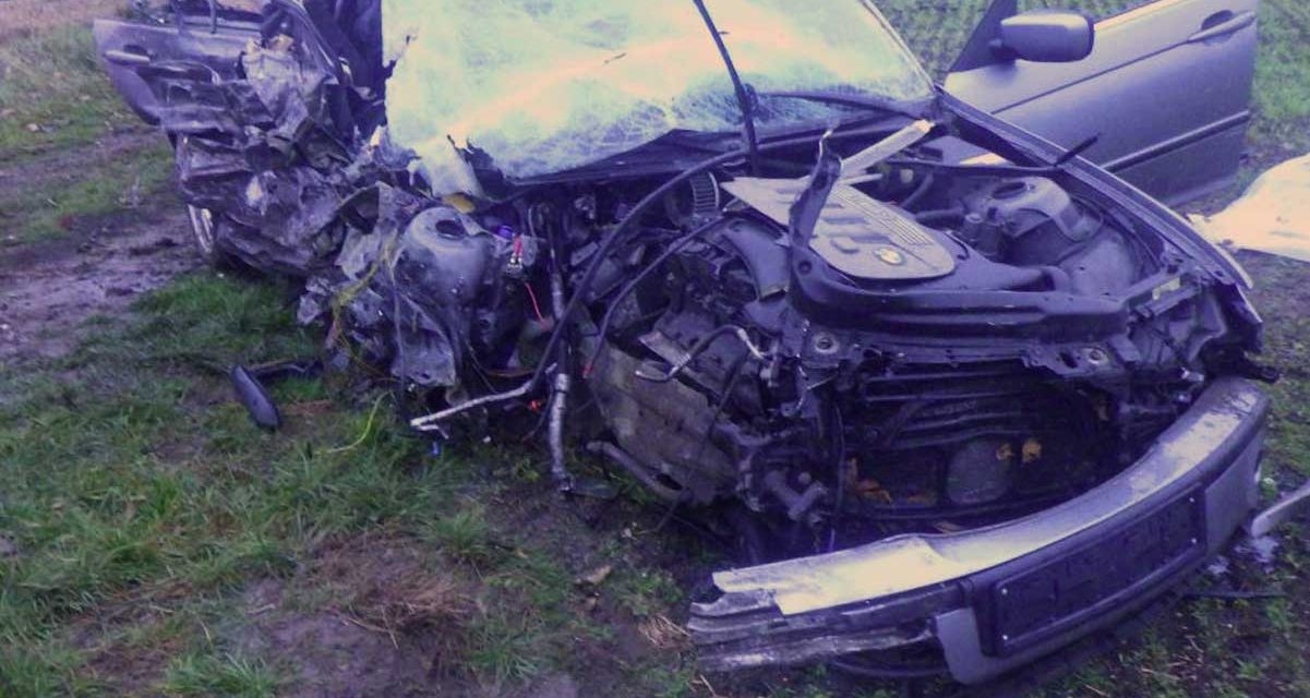 Egy 17 éves vétlen lány halt meg egy BMW-ben, a sofőr azt állítja, egy madár zavarta meg a vezetésben, ezért ütközött frontálisan