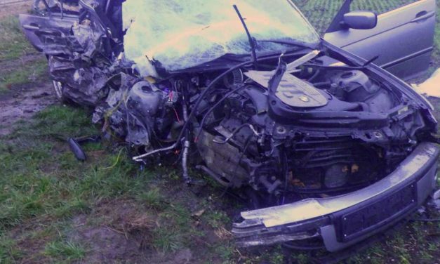 Egy 17 éves vétlen lány halt meg egy BMW-ben, a sofőr azt állítja, egy madár zavarta meg a vezetésben, ezért ütközött frontálisan