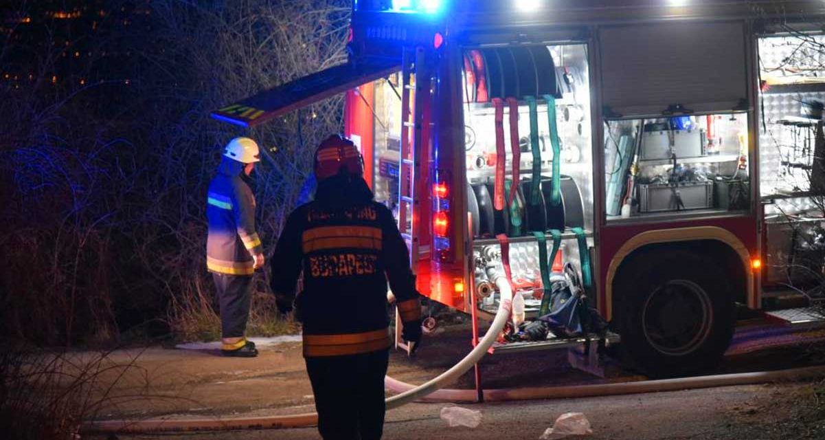 Kigyulladt egy épület a pomázi állatmenhelyen! 25 kutyát kellett kimenteni a lángok közül