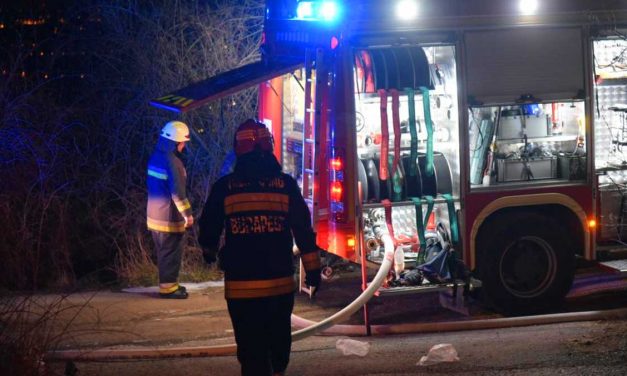 Kigyulladt egy épület a pomázi állatmenhelyen! 25 kutyát kellett kimenteni a lángok közül