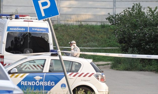 Ágyában fekve késeltek halálra egy 47 éves férfit Érden: a három vádlott közül kettő nem teljesen beszámítható