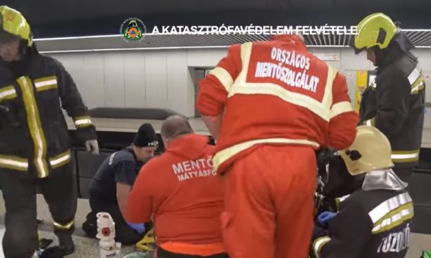 Egészen hihetetlen életmentés: jelrendszerrel védte meg a saját életét egy idős néni