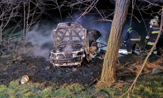 „Nincs szó, csak fájdalom” – több fának nekiment, majd kigyulladt a 20 éves Martin autója, a sofőr nem élte túl a balesetet